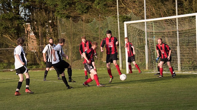 的强队进行 的强队进行