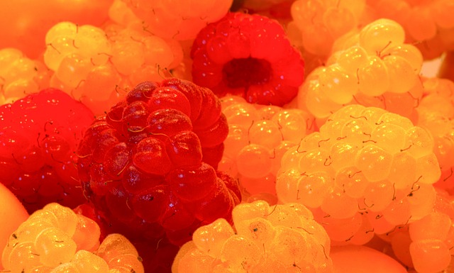 足球俱乐部 足球俱乐部