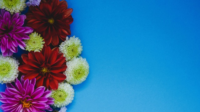 届国际赛事 届国际赛事