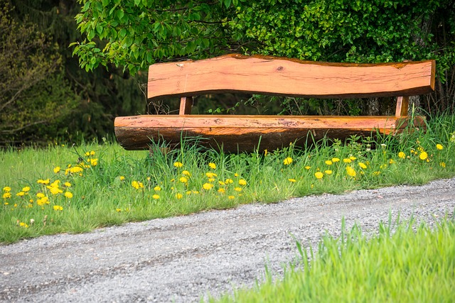 冠军的舞台